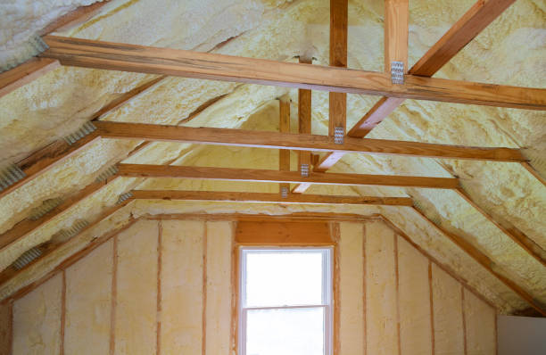 Best Eco-Friendly Insulation in Country Lake Estates, NJ