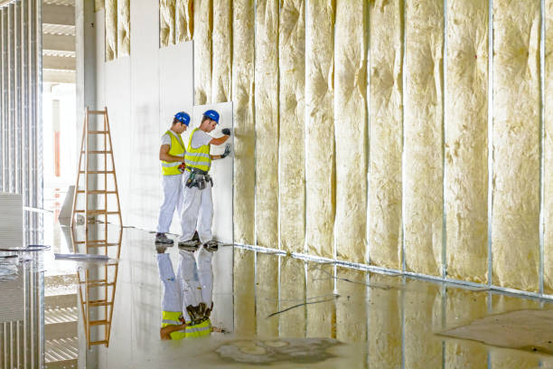 Best Cellulose Insulation in Country Lake Estates, NJ